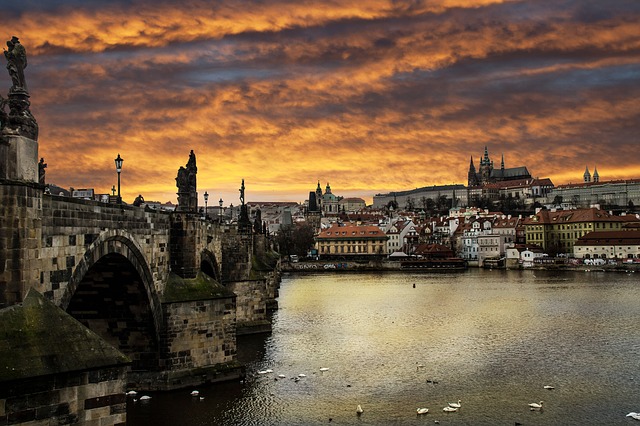 Služby